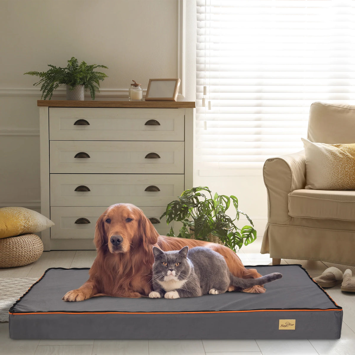 Large orthopedic dog bed with padded foam cushion and washable cover, ideal for pets' comfort and support.