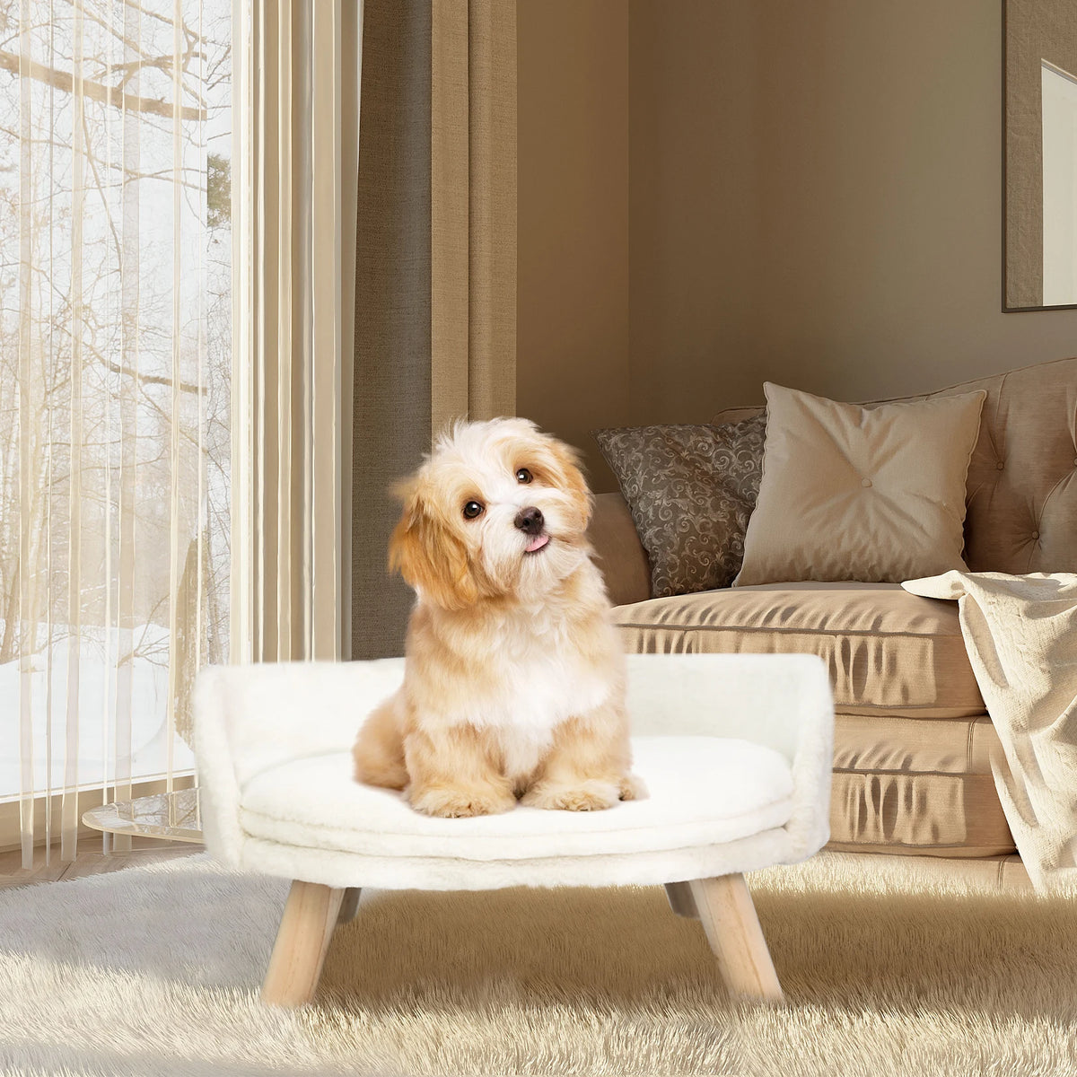 Small pet sofa bed by I YAN featuring a raised cat chair and dog couch with removable cushion for cozy sleep.