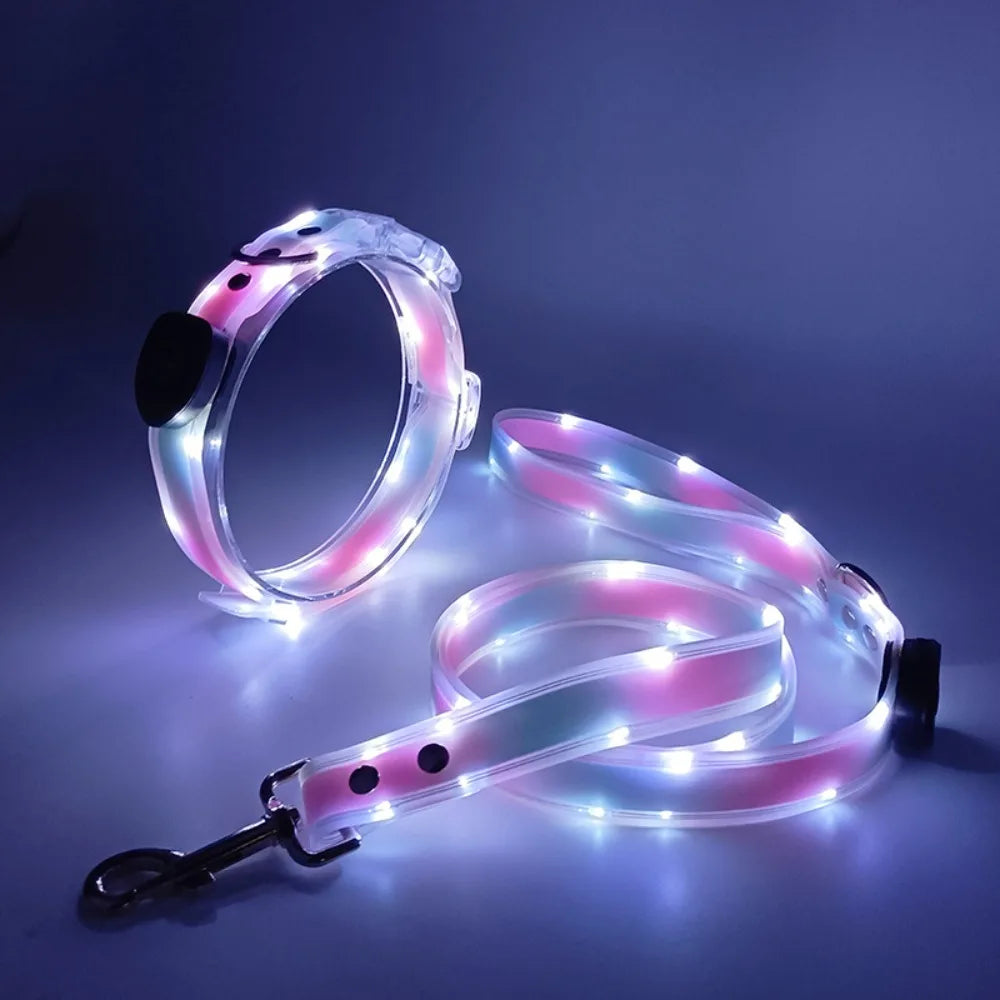 Rechargeable LED dog collar and leash set by I YAN with glow-in-the-dark safety features, visible in the image.