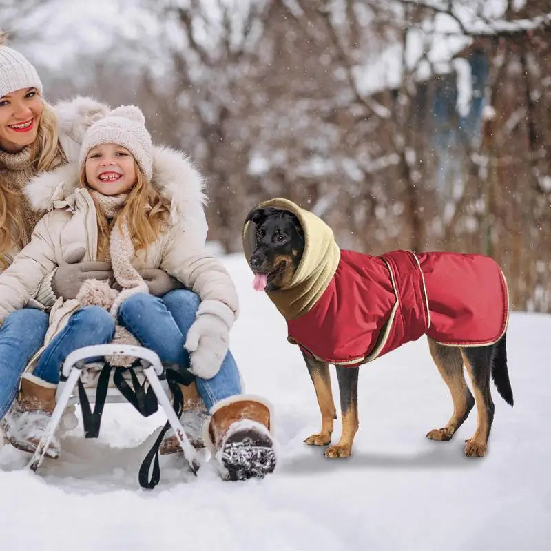 I YAN waterproof dog turtleneck sweater with thermal, thick fabric for cold weather, featuring a cozy pullover design for pets.