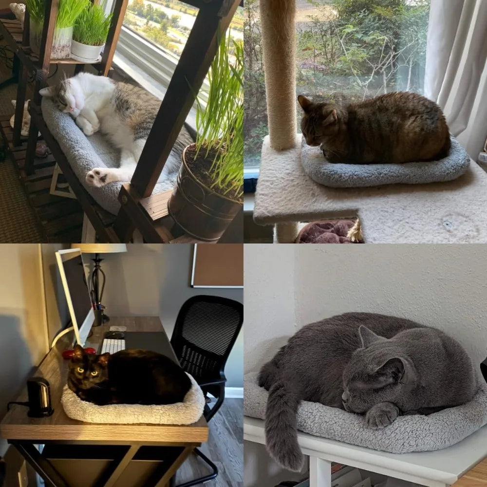 Soft Cat Bed with Raised Rim, 15x10 inch, Machine Washable, Non-Slip Bottom, for Small Pets