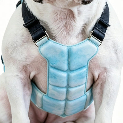 Lightweight I YAN Gel Dog Cooling Vest harness on small dog, providing heat relief and comfort during warm weather.