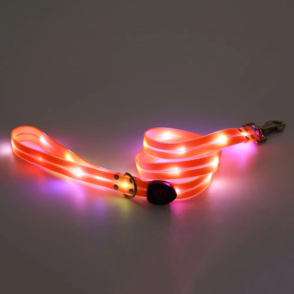 Rechargeable LED dog collar and leash set from I YAN with glow-in-the-dark safety feature, visible in the image.