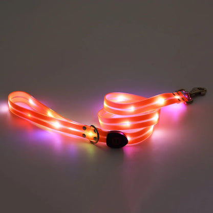 Rechargeable LED dog collar and leash set from I YAN with glow-in-the-dark safety feature, visible in the image.