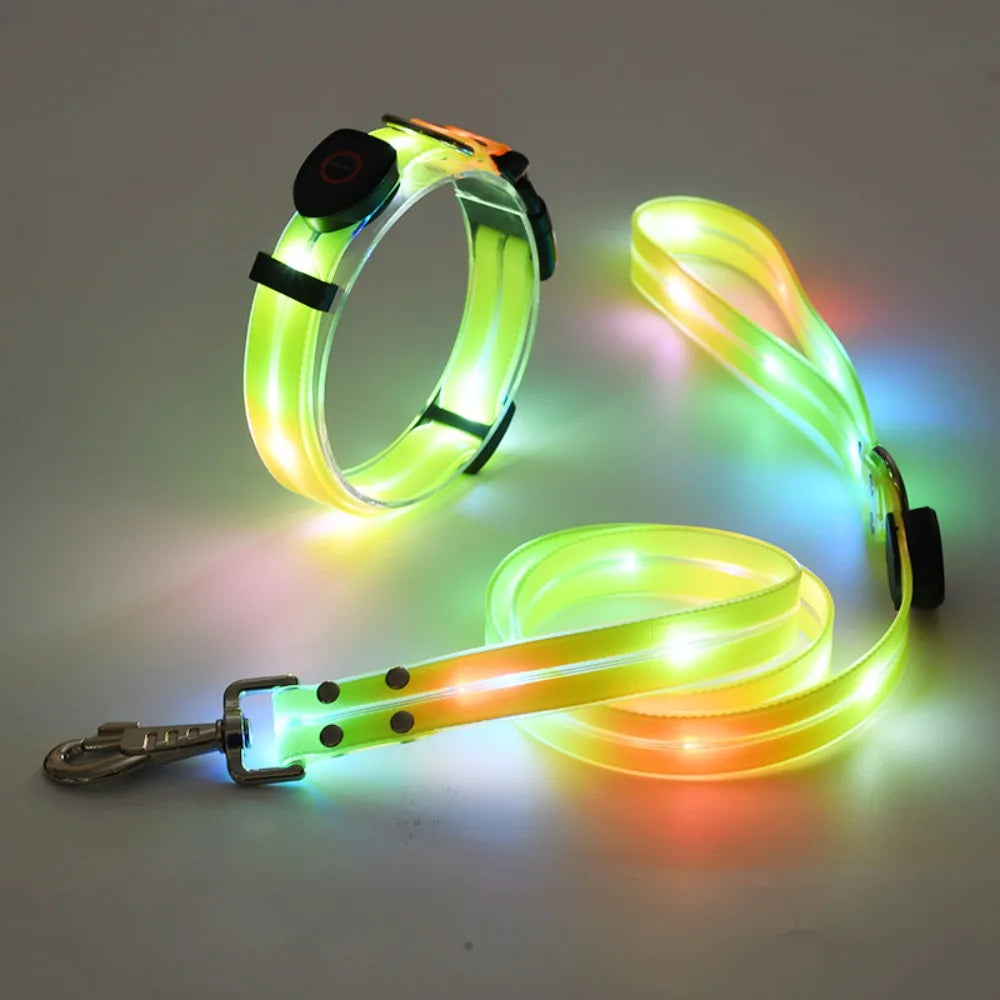Rechargeable LED dog collar and leash set by I YAN with glow-in-the-dark safety features, visible in the illuminated collar and leash.
