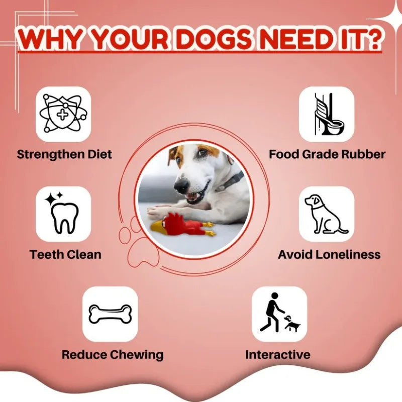 Dog Toys Make a Sound Cooing Chicken Dog Toy - Durable Latex Chew For Small To Medium Breeds Interactive Play & Dental Health