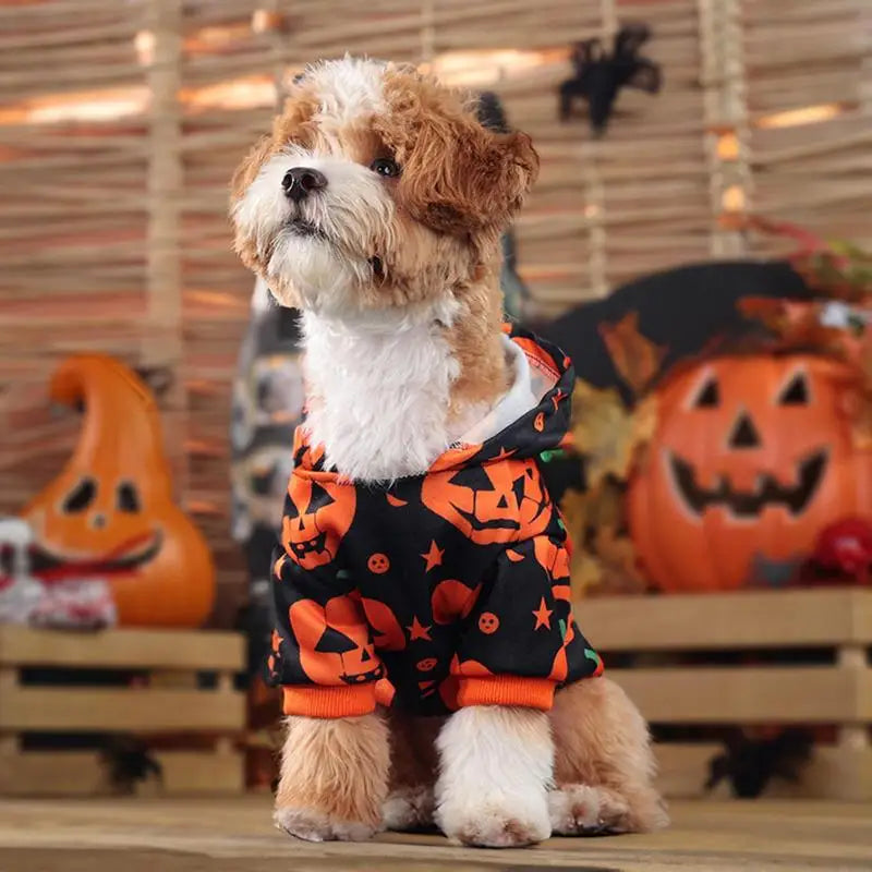 Pumpkin Halloween Costume for Dogs & Cats – Cute Festive Pet Outfit