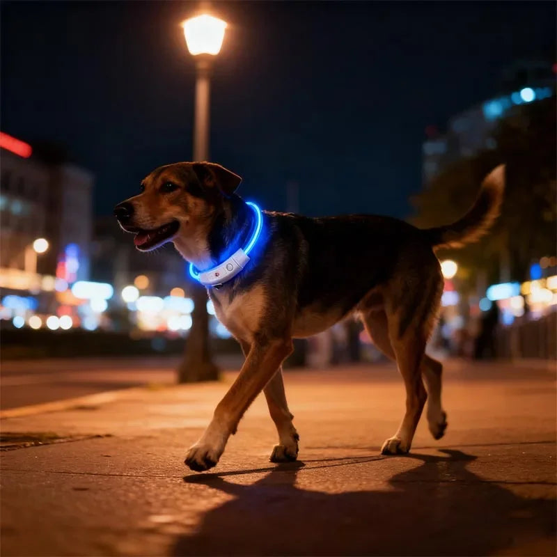 Water-resistant I YAN dog safety collar with multi-color pendants and LED light strip for outdoor night visibility.