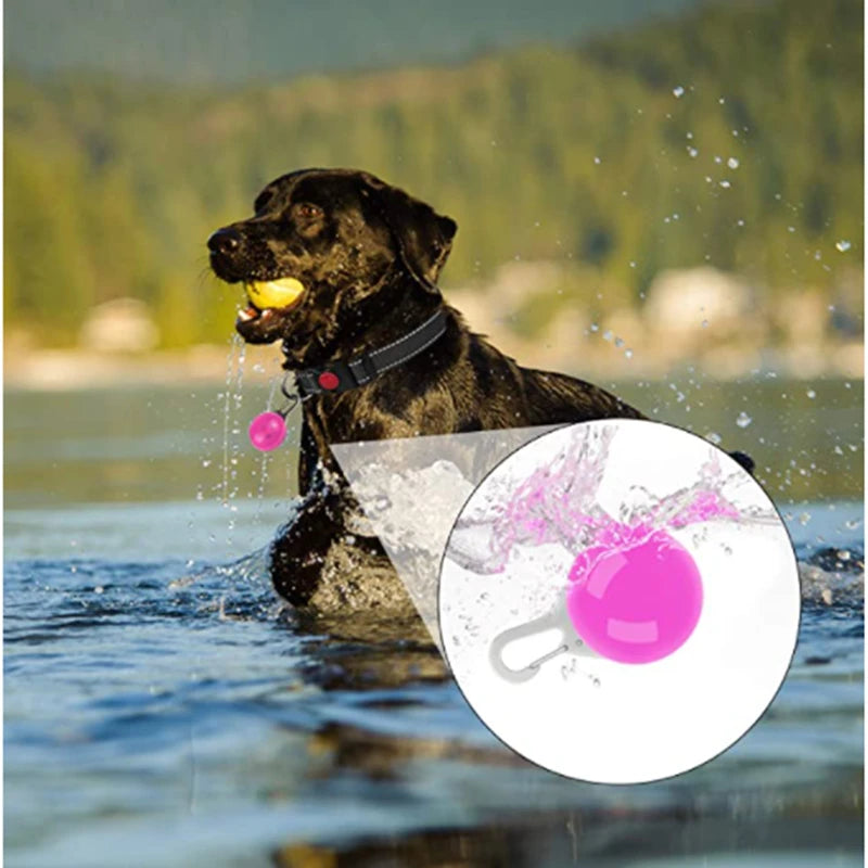 USB rechargeable LED glowing dog collar by I YAN with safety light for small dogs and cats, shown in the image.
