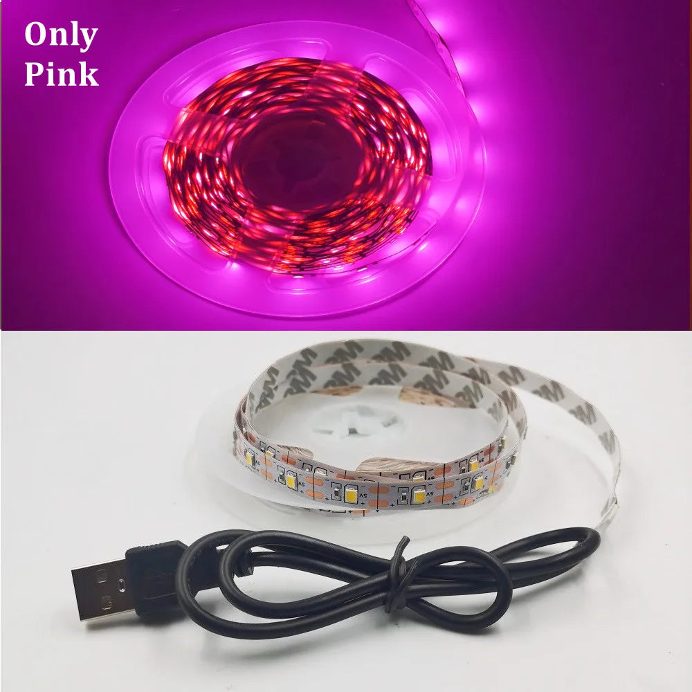 5M USB LED Strip Light 5V 3528 1 Meter 5 Meter Warm Cool White Pink Green Blue Red SMD Ribbon Ceiling Cabinet Light waterproof