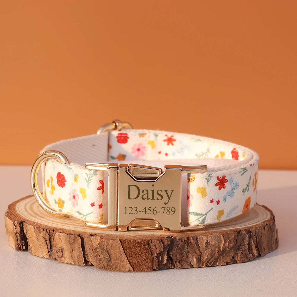 Personalized I YAN dog collar with engraved ID tag, small to large dog sizes, featuring a colorful nylon strap and metal hardware.