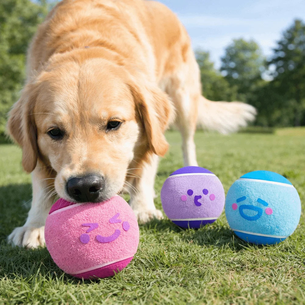 3 pieces Elastic Pet Tennis Ball Eco Friendly Color Blocked Dog Chew Toy Squeaky Sound Cartoon Pattern Pet Bouncy Ball Training