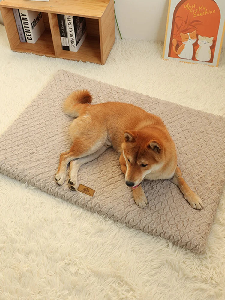 I YAN 3D Foam Orthopedic Dog Bed with washable faux fur cover, waterproof, anti-slip, available in M to XXL sizes.