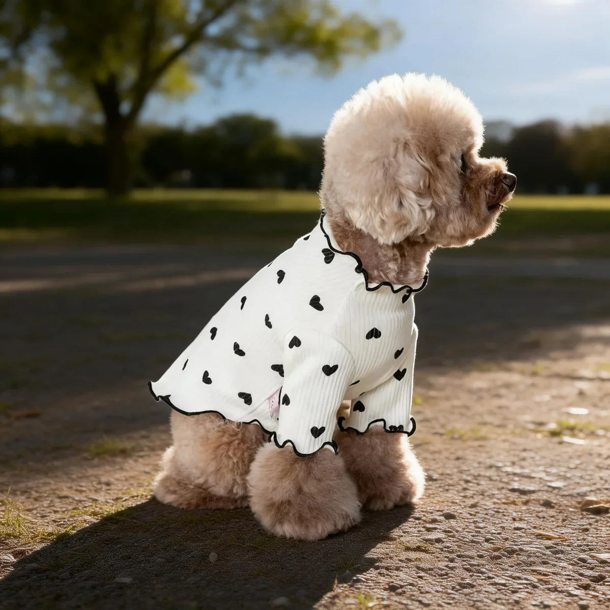 Cute I YAN pet T-shirt with stretch ribbed heart pattern, suitable for dogs and cats, featuring a comfortable home vest style.