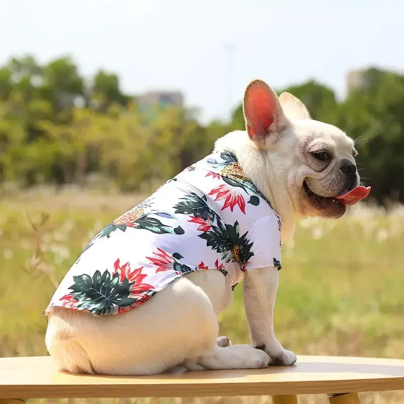 I YAN Hawaiian style pet dog shirt for small to medium dogs, featuring summer sand beach design for puppies, pugs, and French Bulldogs.