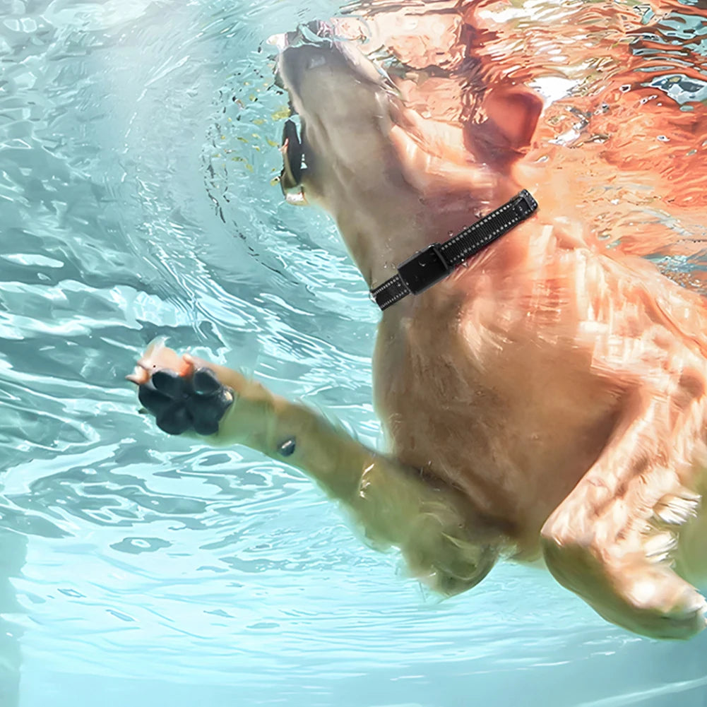 I YAN pet GPS tracker with adjustable collar, showing a smart pet locator device for cats and dogs on a pet's neck.