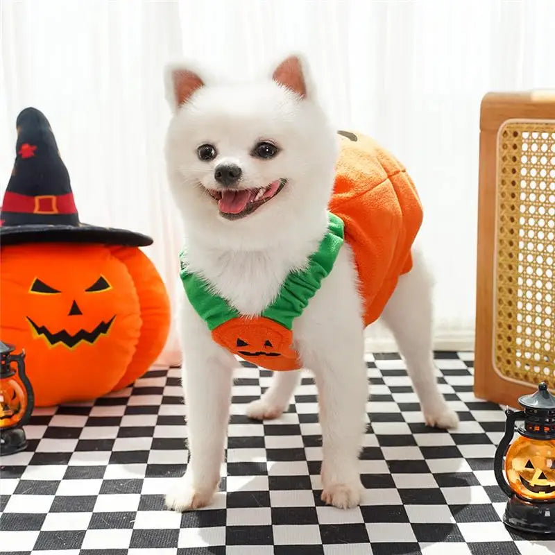 Halloween Dog Costume Pumpkin Light Clothing Teddy Bichon Small Dog Transformation Suit Pet Apparel Functional Winter Wear
