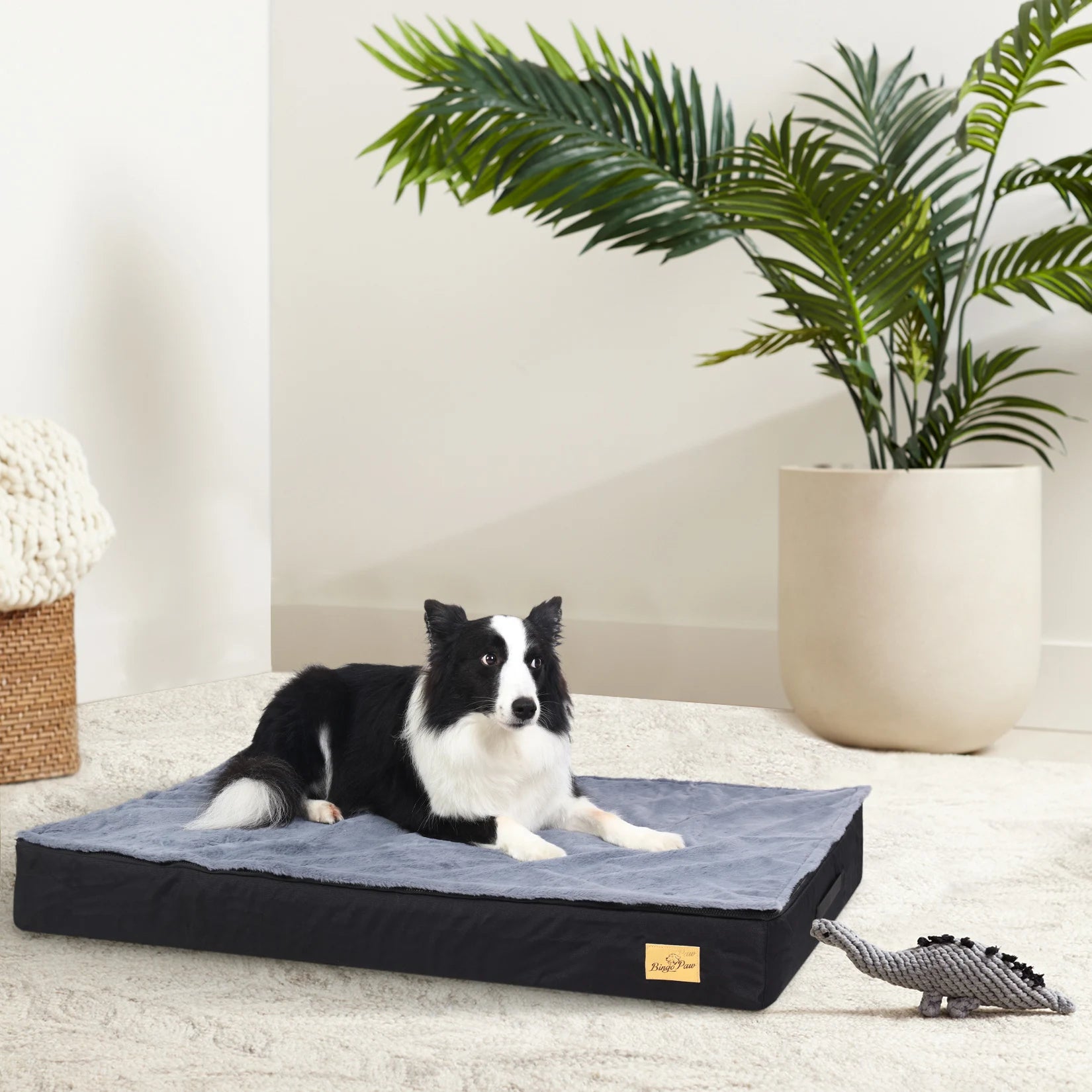 I YAN jumbo dog bed with orthopedic memory foam, washable waterproof cover, plush cushion, ideal for large pets or crates