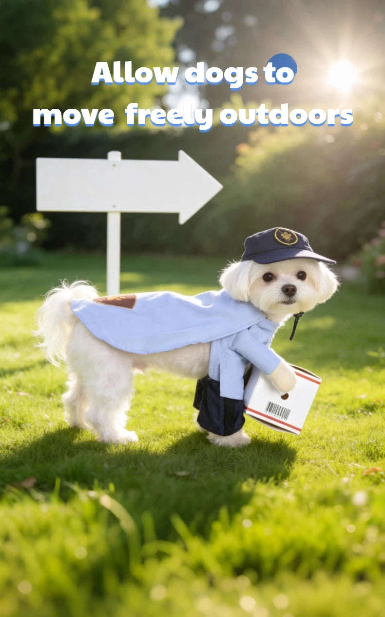 Cute I YAN pet dog transformation costume for small dogs, featuring seasonal, fashionable, universal clothing with adorable design.