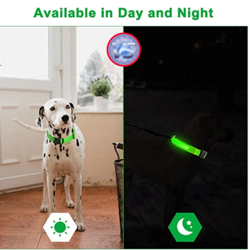 USB rechargeable LED glowing dog collar by I YAN with bright safety light for small dogs and cats in dark settings