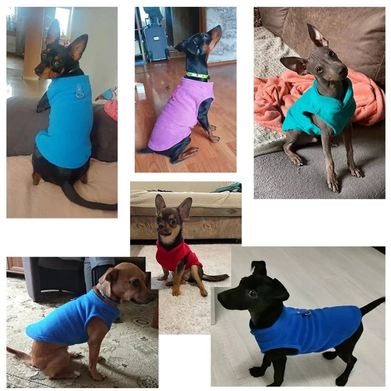 Warm fleece dog jacket vest with D-ring, suitable for small dogs and cats like French Bulldogs and Chihuahuas, by I YAN.