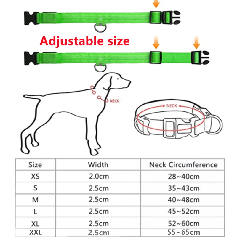 USB rechargeable LED glowing dog collar by I YAN with safety light for small dogs and cats, visible glowing strip in the image.