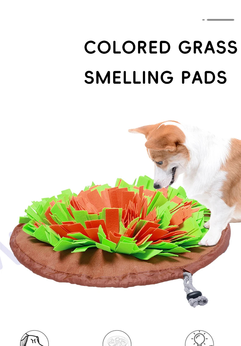 All-season Dog Sniffing Mat, Retractable Packaging, Helps Train the Sense Of Smell.