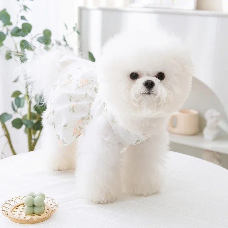 Cute I YAN dog princess dress with mesh skirt, lace bow, perfect for small dogs like Poodle and Chihuahua, summer pet outfit