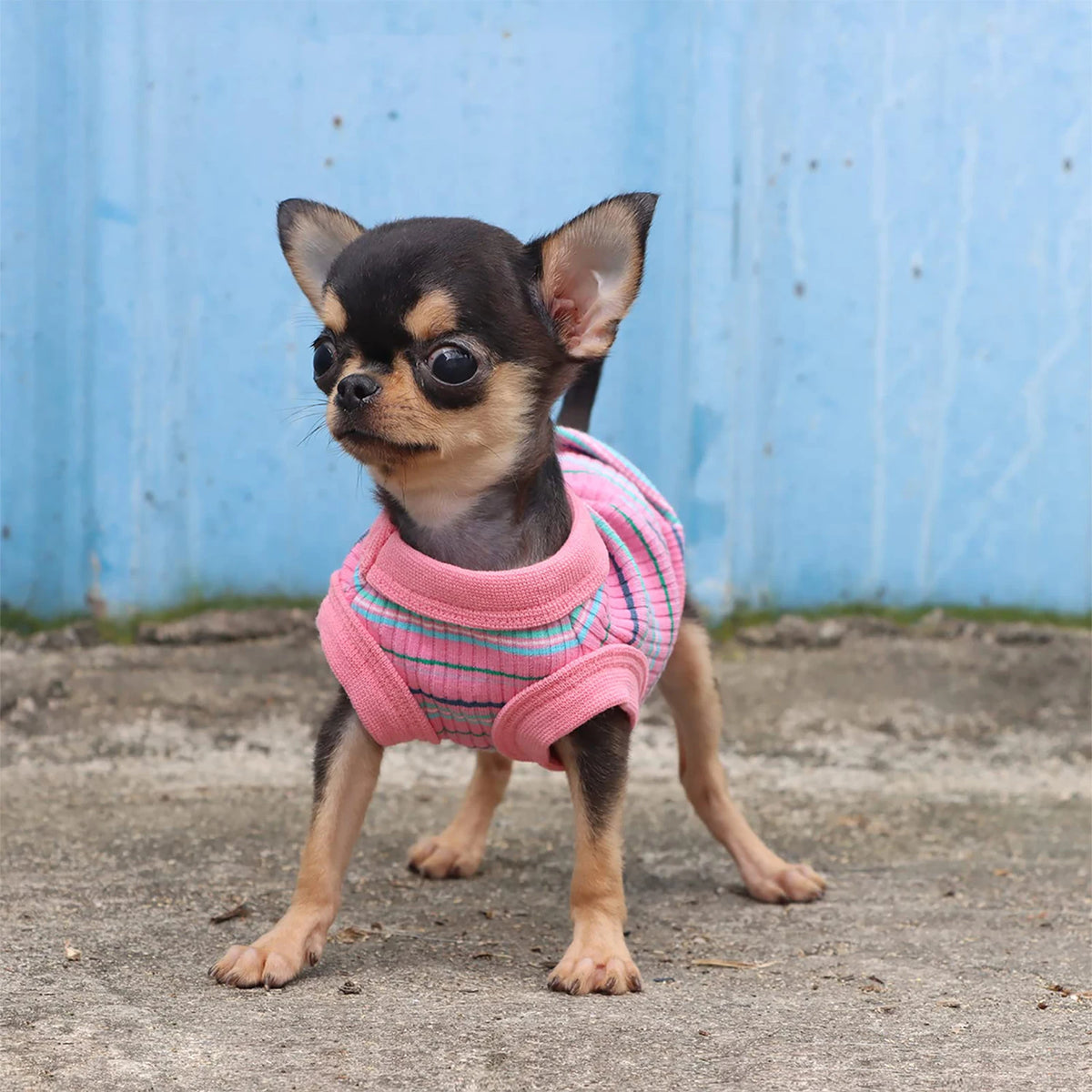 Pink ribbed dog shirt vest for small dogs, Chihuahua puppy tank tee by I YAN, lightweight and comfortable pet apparel.