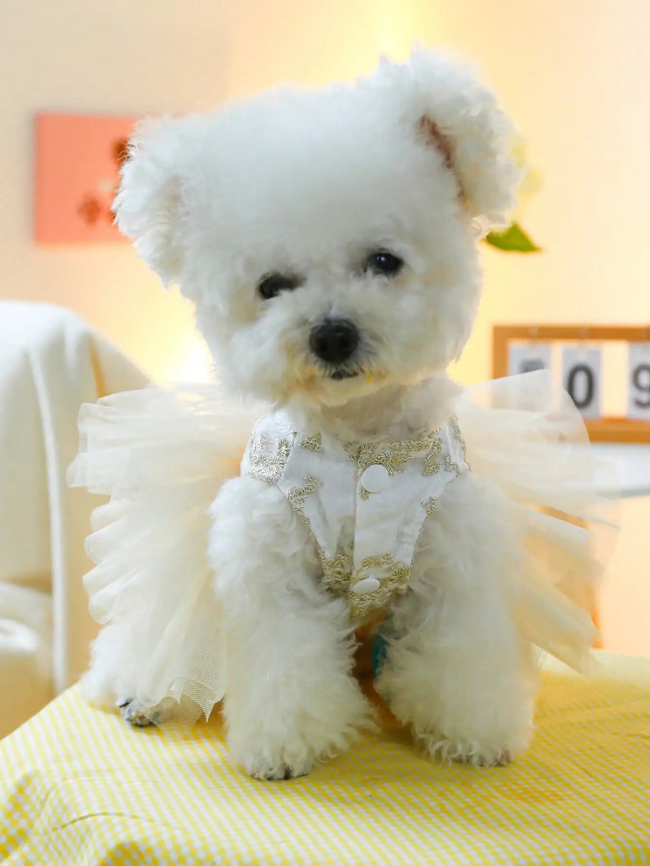 1Pc Luxury Pet Princess Wedding Dress Thin Spring Summer Outfit Gold Floral Embroidery Pearl Bow Decor Built-in D-ring For Traction Universal For Cats Dogs Elegant Party Costume Photo Prop Holiday Pet Gift