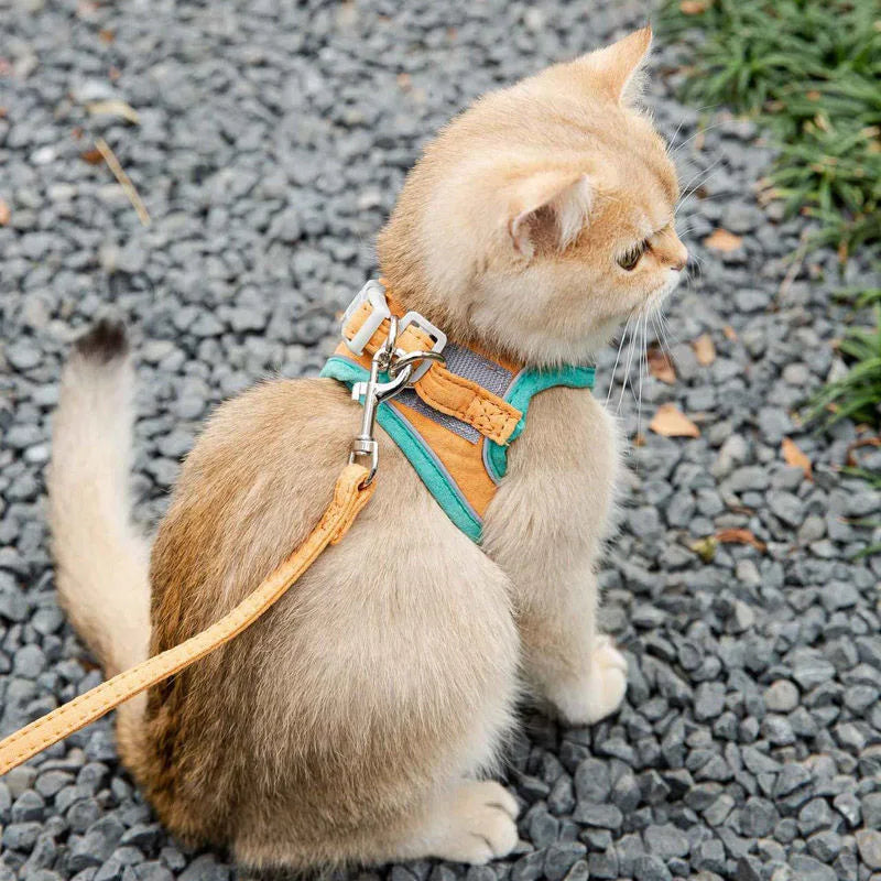 Cute Reflective Cat and Dog Harness with Safety Buckle - Anti-Pull Escape-Proof Vest Leash for Pets