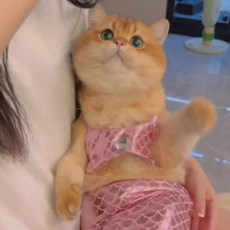 Cat Mermaid Tail Sequin Mermaid Tail Clothes For Halloween Cat Fishtail Dress-Up Comfortable & Soft Dog Outfit Funny Pet
