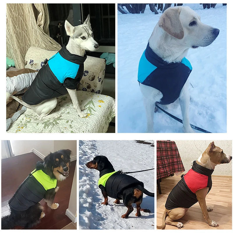 Waterproof Winter Dog Coat – Warm Vest Jacket for Small to Large Dogs