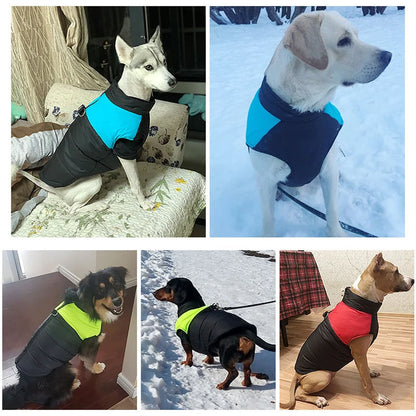 Waterproof Winter Dog Coat – Warm Vest Jacket for Small to Large Dogs