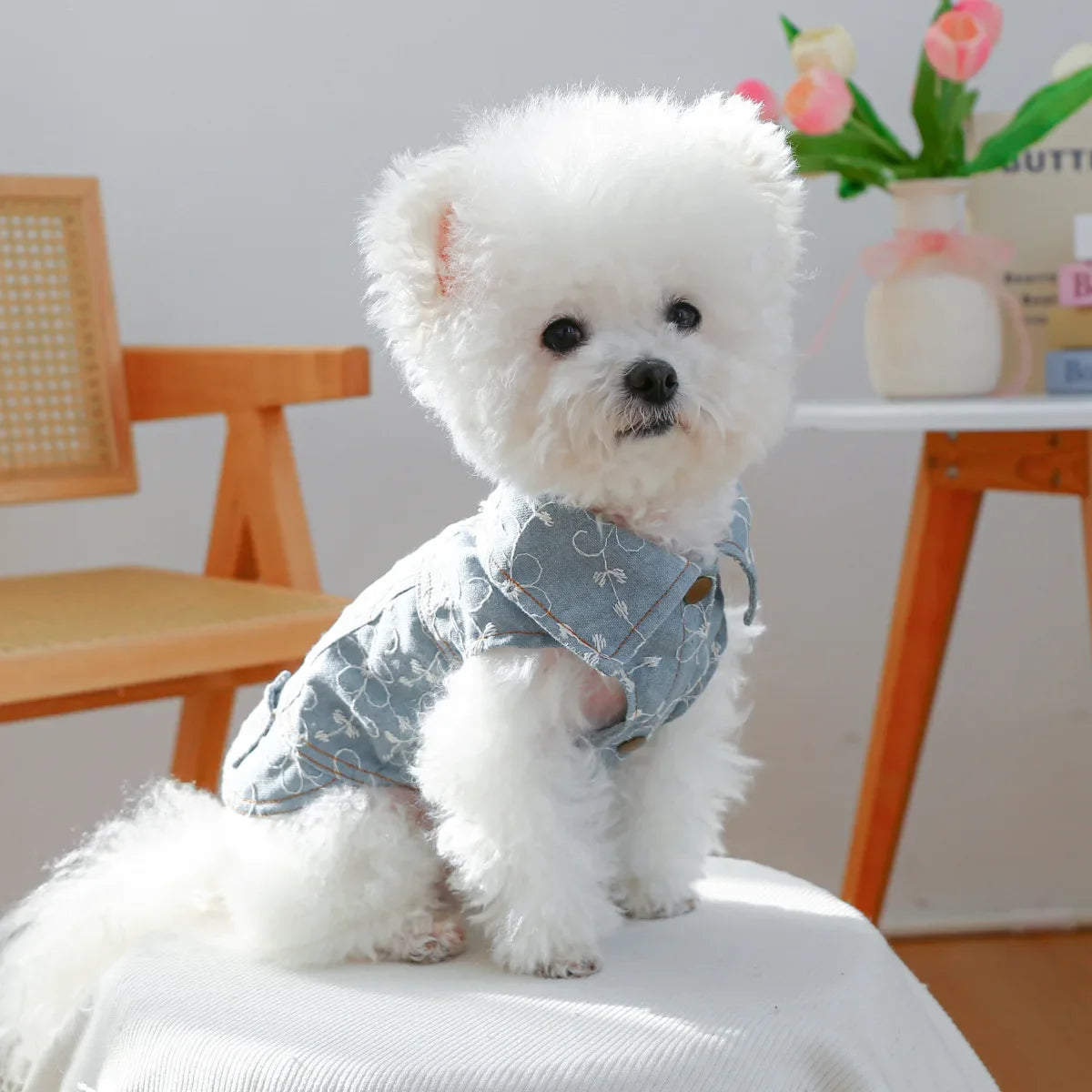 Denim sleeveless dog jacket by I YAN, small to XL size, featuring jeans style coat for autumn and spring pet fashion.