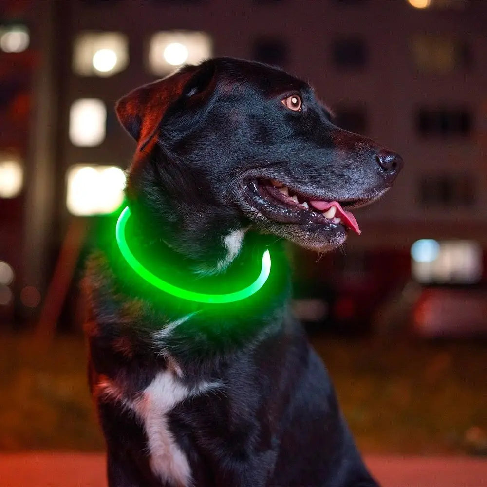 LED dog collar by I YAN, USB rechargeable light-up collar for small and medium dogs, enhances visibility and safety at night.