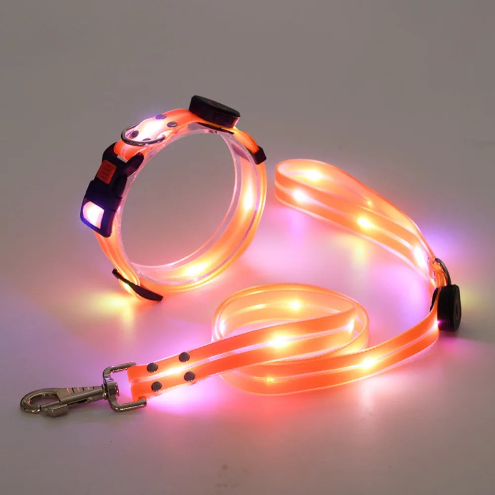 Rechargeable LED dog collar and leash set with glow-in-the-dark safety features, by I YAN, shown with illuminated collar and leash in dark.