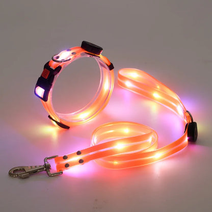 Rechargeable LED dog collar and leash set with glow-in-the-dark safety features, by I YAN, shown with illuminated collar and leash in dark.