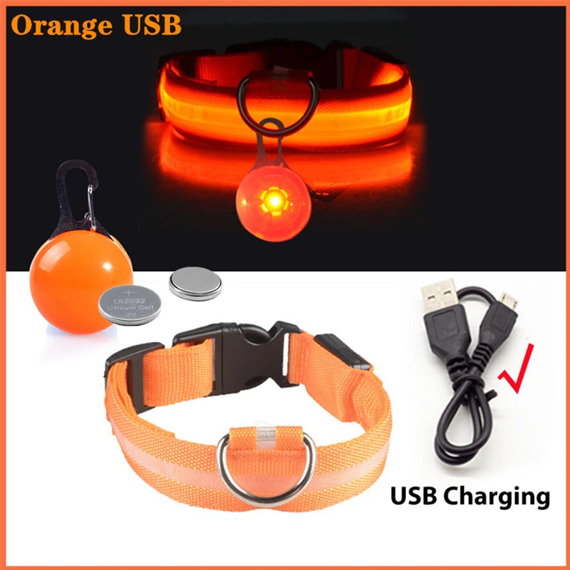 I YAN USB rechargeable LED glowing dog collar with safety light, designed for small dogs and cats, visible with bright illumination.