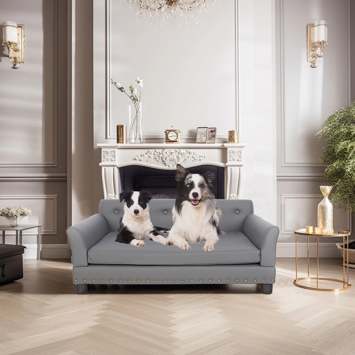 Durable I YAN BINGOPAW rectangle pet bed for medium and large dogs, elevated sofa style with comfortable modern design