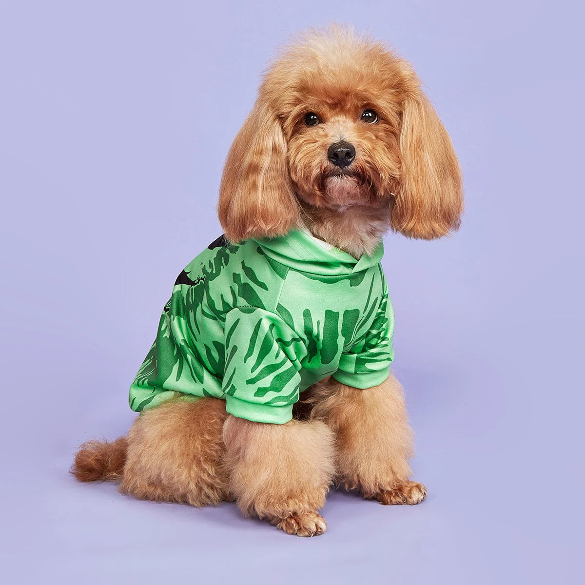 Pet Dog Cat Halloween Hoodies Scary Pumpkin Face Shirt Dog Sweatshirts Apparel Comfortable Pet Turtleneck Puppy for Halloween  H