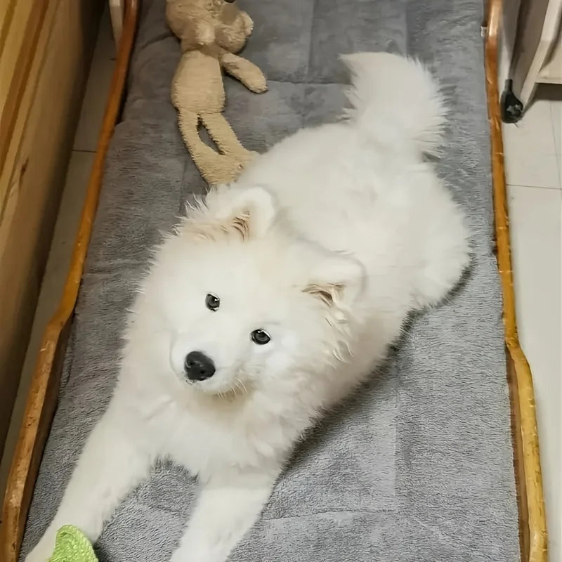 Ultra-soft oversized plush dog and cat bed by I YAN, rectangle pet mat for all sizes, cozy and comfortable for pets