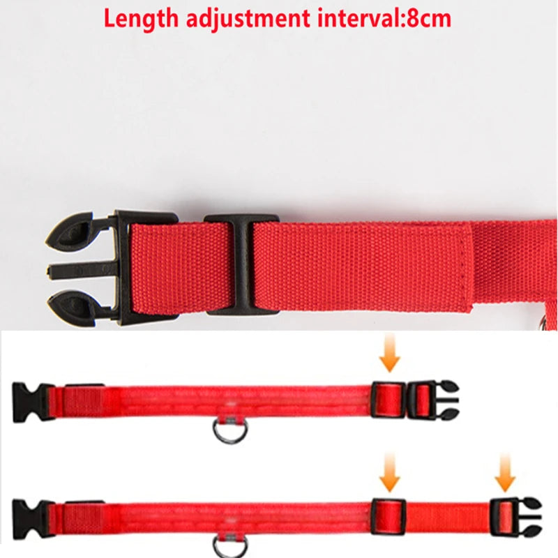 USB rechargeable LED glowing dog collar by I YAN, featuring night safety light for small dogs and cats, visible in bright glow.