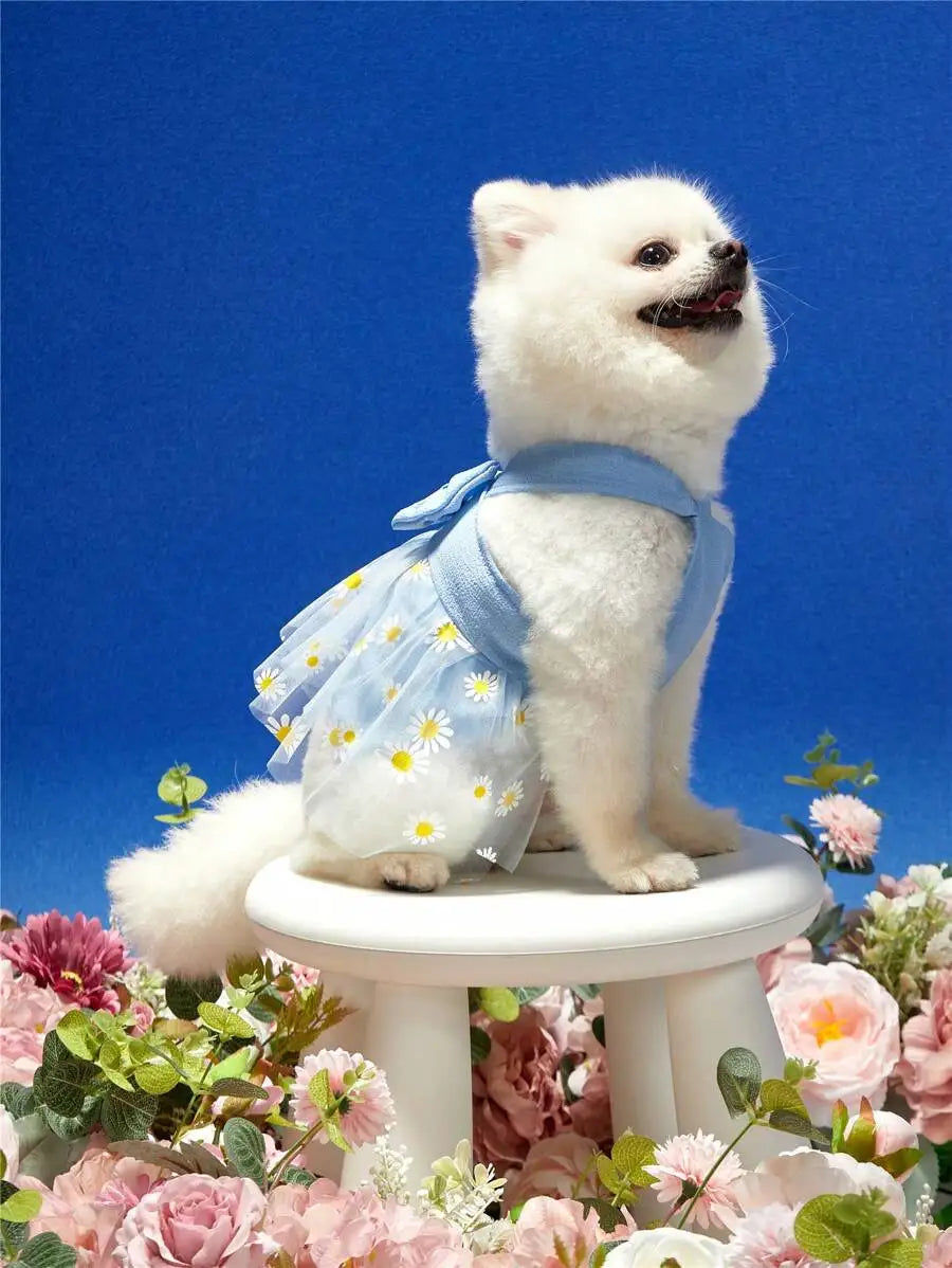 1pc Pink Daisy Tulle Skirt With Bowknot Pet Harness Dress, Suitable For Cats And Dogs