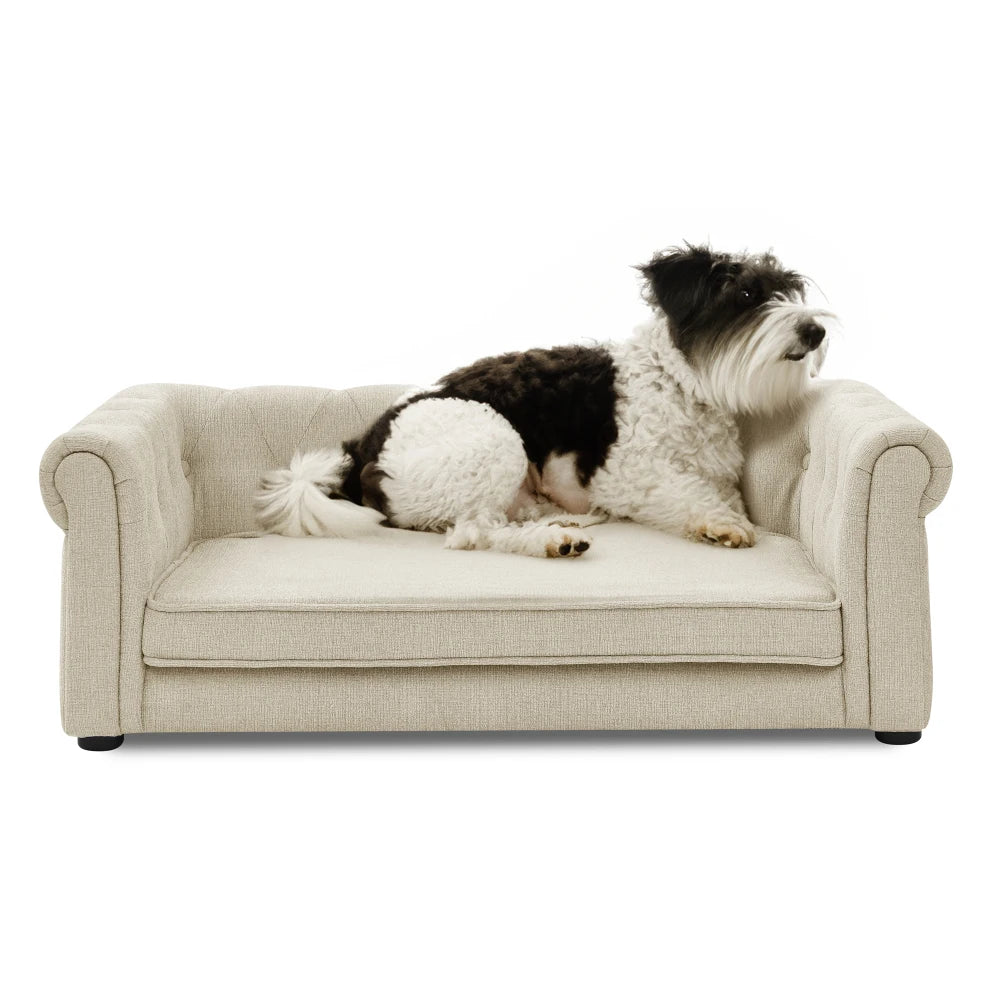 Ye Elegant Rectangle Elevated Dog Sofa Bed for Small and Medium Dogs, Comfortable Couch, Modern & Stylish, Beige, Durable