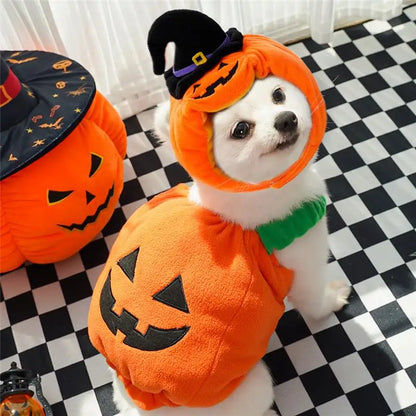 Halloween Dog Costume Pumpkin Light Clothing Teddy Bichon Small Dog Transformation Suit Pet Apparel Functional Winter Wear