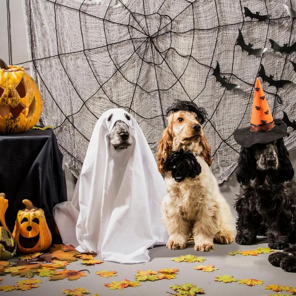 Halloween Ghost Dog Costume – Spooky Pet Cloak for Dogs