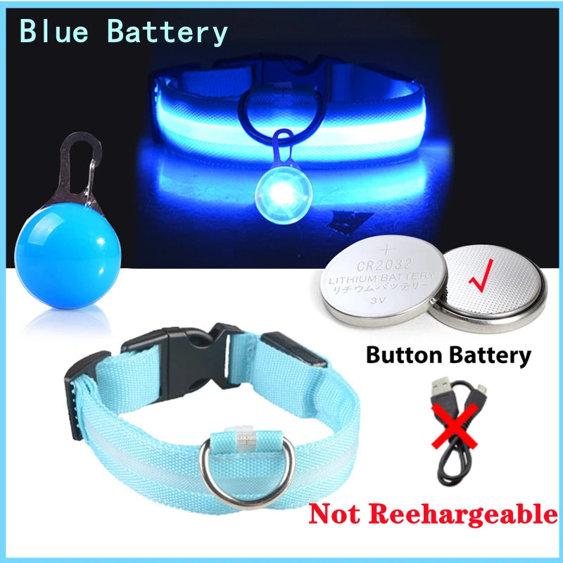 USB rechargeable LED glowing dog collar by I YAN with safety light for small dogs and cats, visible in a nighttime setting.