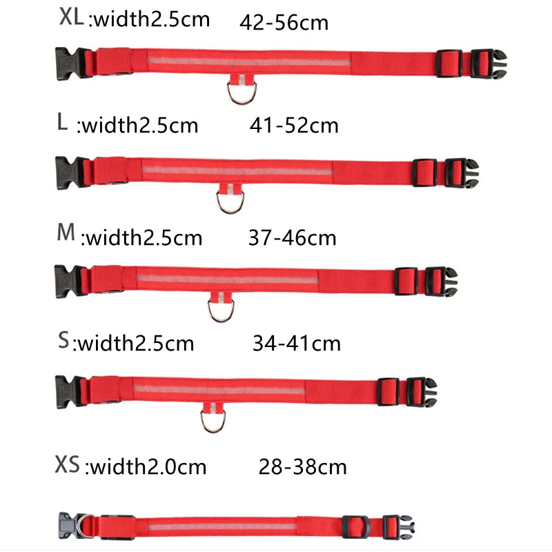 USB rechargeable LED glowing dog collar by I YAN, illuminated night safety light for small dogs and cats.