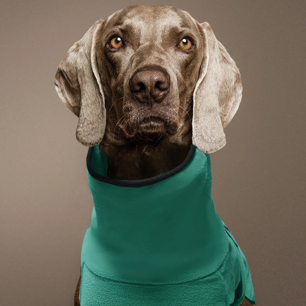 Winter Warm Dog Vest Jacket – Coat for Medium & Large Dogs